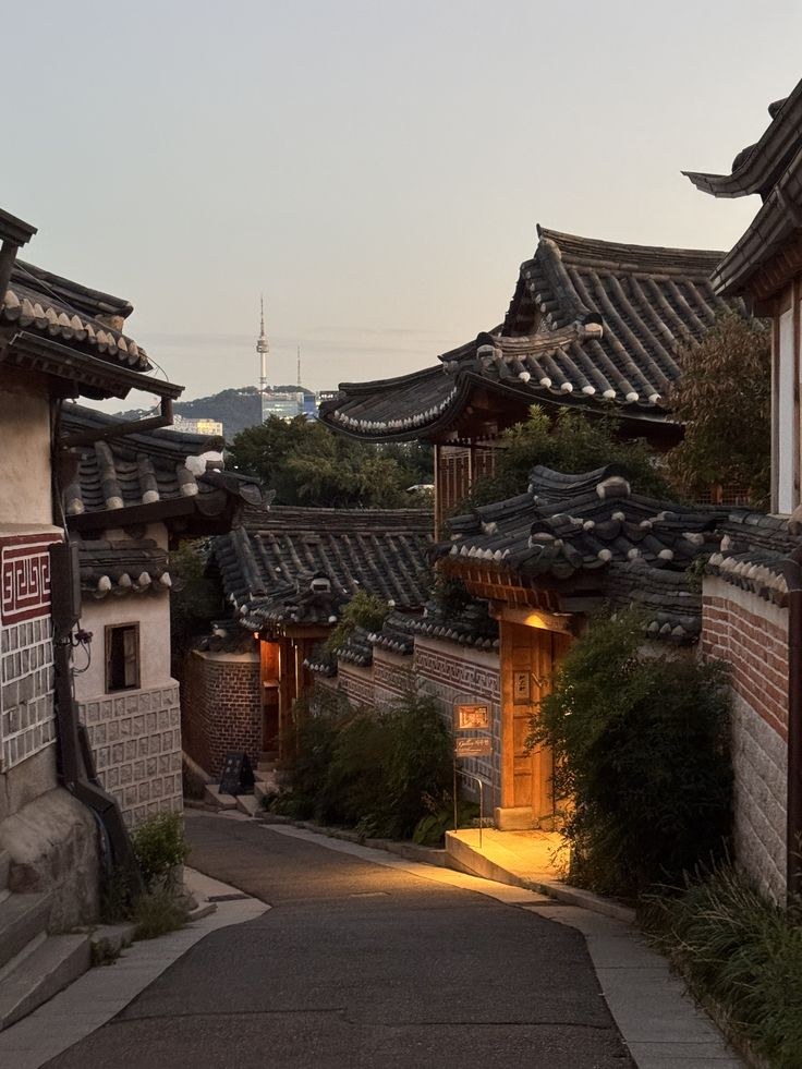 Hanok roofs and Namsan Tower frame Seoul's central paradox: an old capital remade as a hyper-concentrated modern economy.