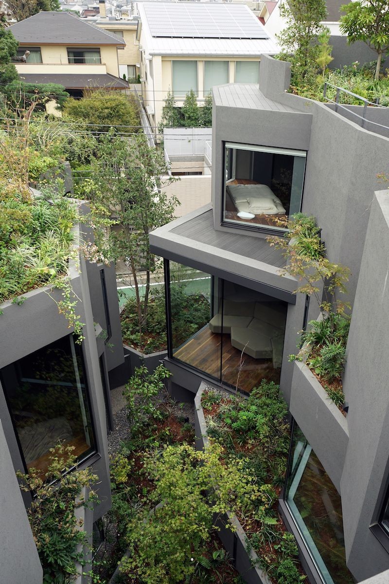 A quiet green interior carved from density: the Tokyo luxury of privacy, light and plants.