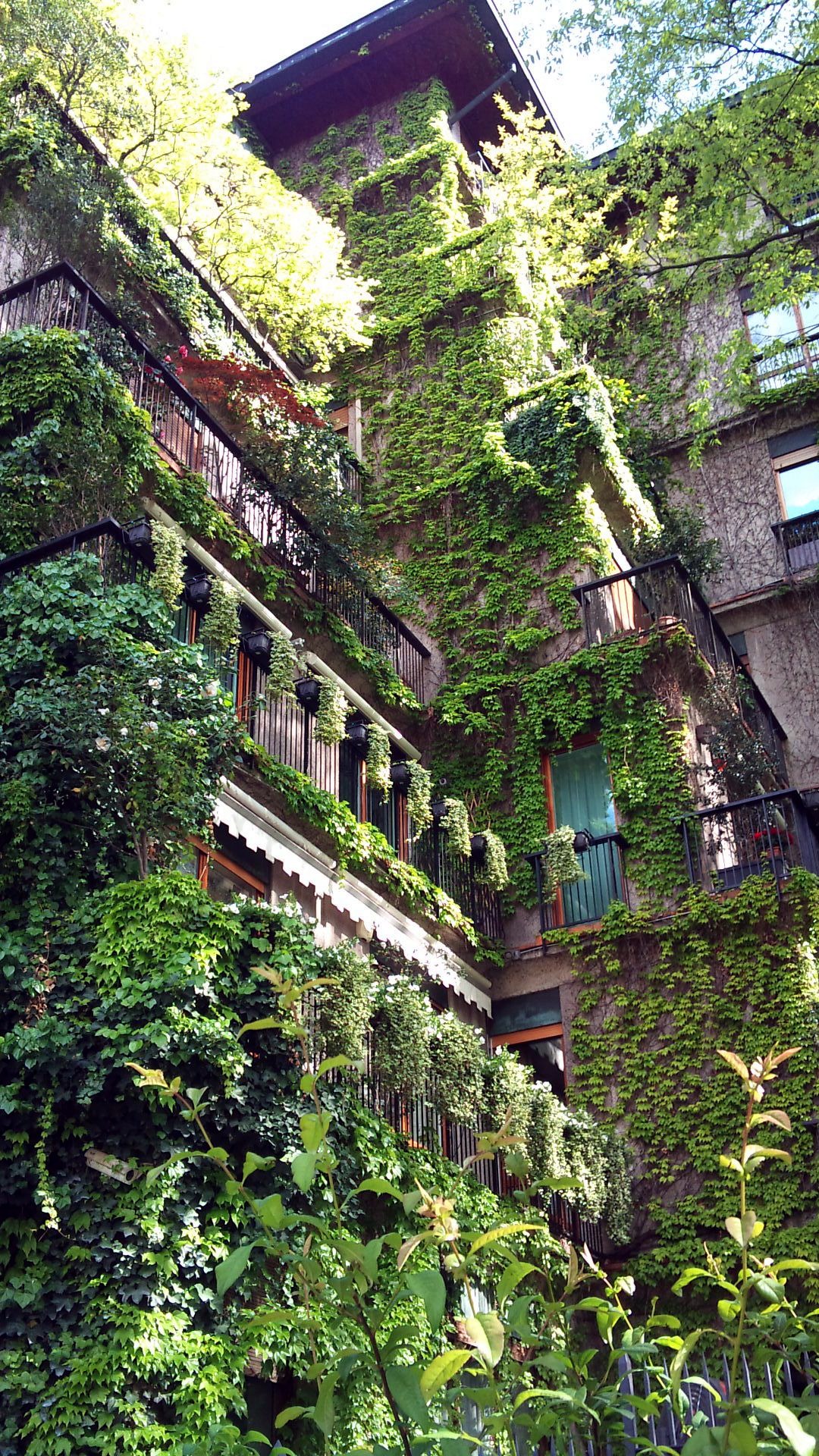 Green courtyards and planted balconies create a quiet form of urban luxury.