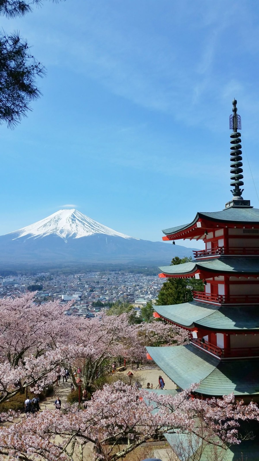Mount Fuji and the pagoda: the image of Japan that travels globally, shaping how Tokyo is imagined even beyond the city itself.